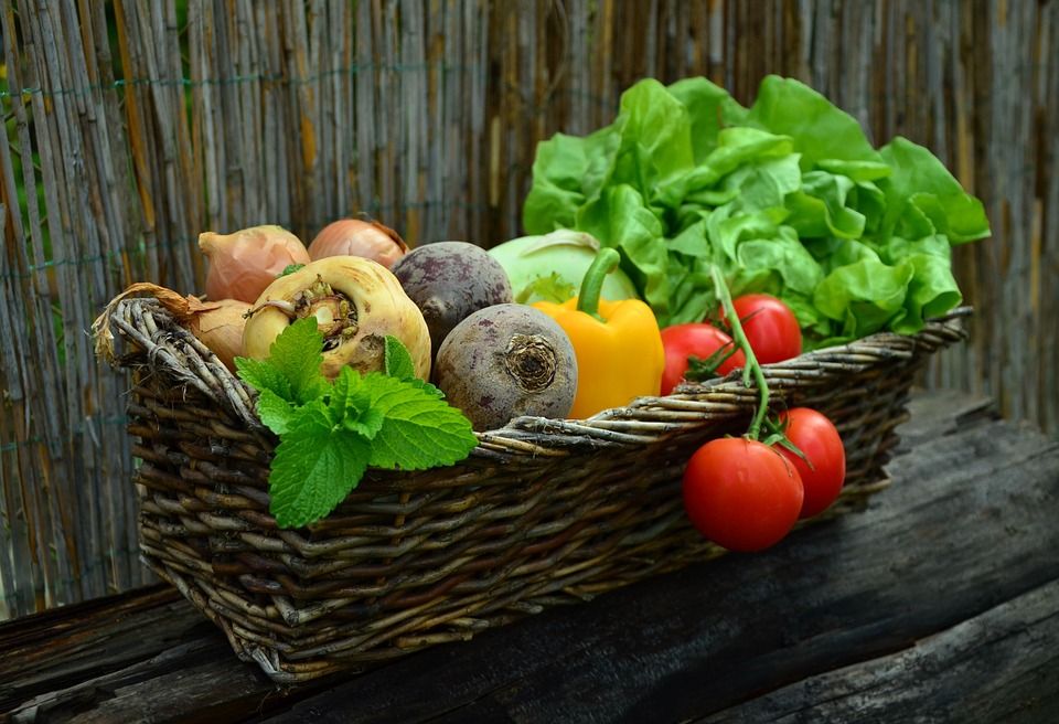 Les avantages d’avoir un jardin chez soi