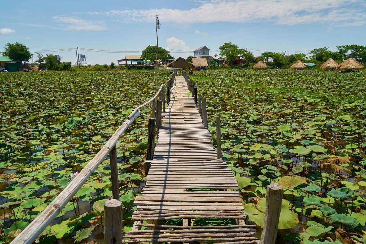 Aide humanitaire au Cambodge